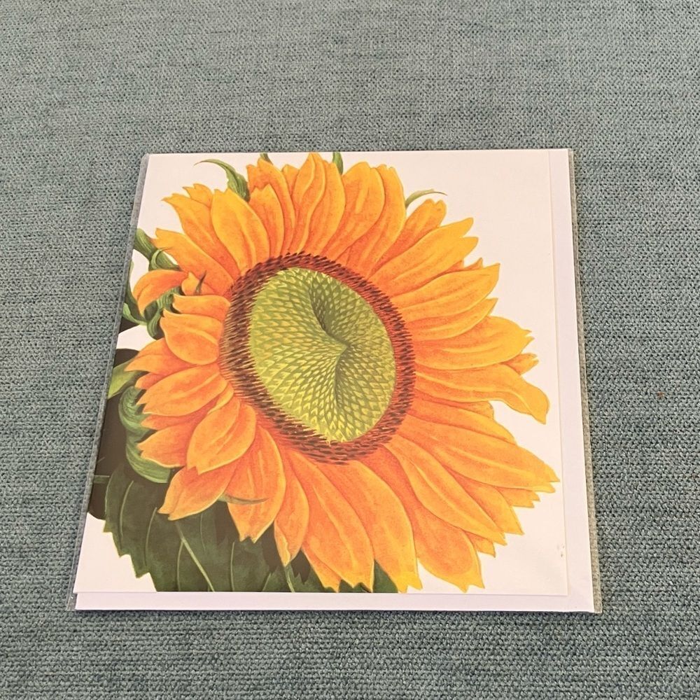 Sunflower Natural History Museum Card